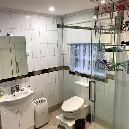 Self Contained En-Suite Private Bathroom, Private Entrance, Close To Shops & Hospital Homestay Hamilton Exterior photo